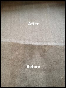 Before-and-after-photograph-of-carpet-cleaning-job-in-Chislehurst (1)