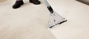 professional-carpet-Cleaning-services